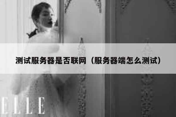 测试服务器是否联网（服务器端怎么测试） 第1张