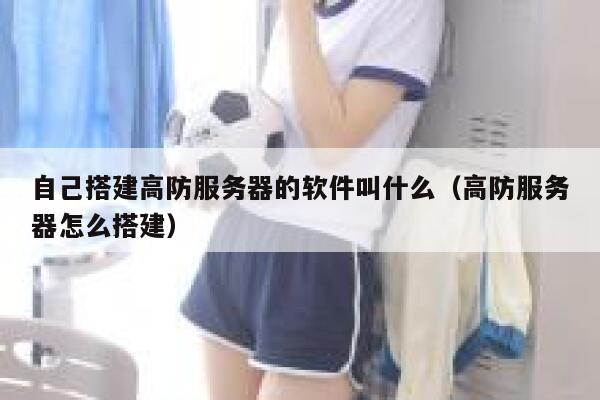 自己搭建高防服务器的软件叫什么（高防服务器怎么搭建） 第1张