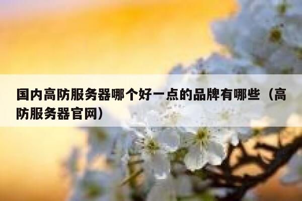 国内高防服务器哪个好一点的品牌有哪些（高防服务器官网） 第1张