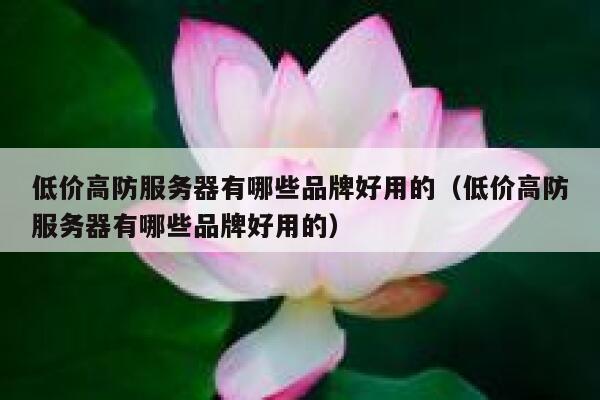 低价高防服务器有哪些品牌好用的（低价高防服务器有哪些品牌好用的） 第1张