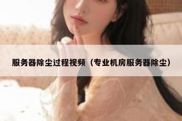 服务器除尘过程视频（专业机房服务器除尘） 第1张