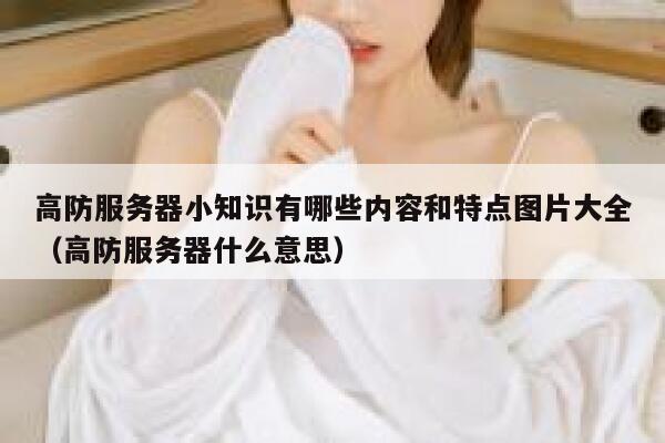 高防服务器小知识有哪些内容和特点图片大全（高防服务器什么意思） 第1张
