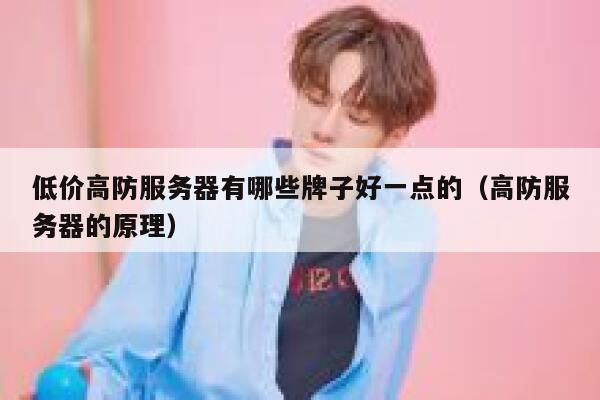 低价高防服务器有哪些牌子好一点的（高防服务器的原理） 第1张