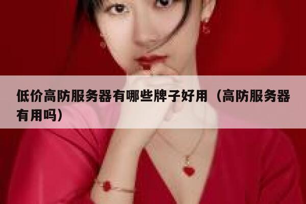 低价高防服务器有哪些牌子好用（高防服务器有用吗） 第1张