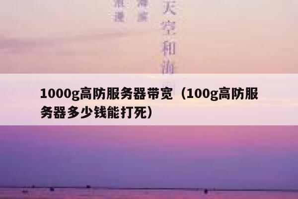 1000g高防服务器带宽（100g高防服务器多少钱能打死） 第1张
