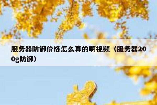 服务器防御价格怎么算的啊视频(服务器200g防御) 第1张 服务器防御价格怎么算的啊视频(服务器200g防御) 第1张