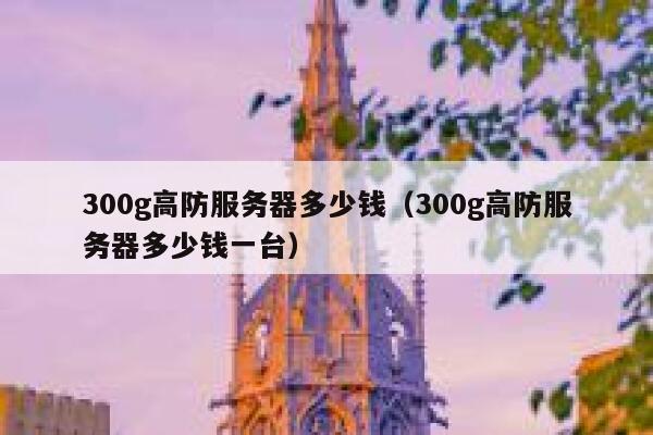 300g高防服务器多少钱（300g高防服务器多少钱一台） 第1张