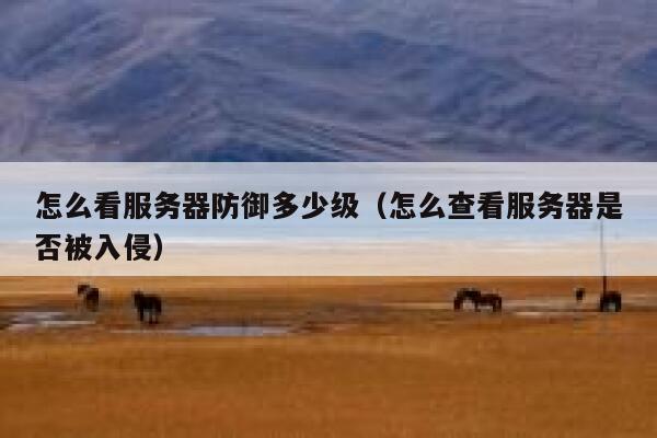 怎么看服务器防御多少级（怎么查看服务器是否被入侵） 第1张