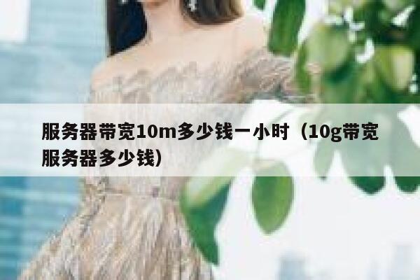 服务器带宽10m多少钱一小时（10g带宽服务器多少钱） 第1张