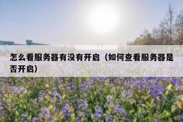 怎么看服务器有没有开启（如何查看服务器是否开启） 第1张