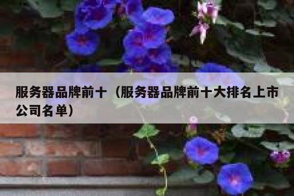 服务器品牌前十（服务器品牌前十大排名上市公司名单） 第1张
