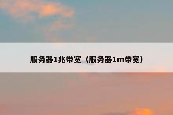 服务器1兆带宽（服务器1m带宽） 第1张