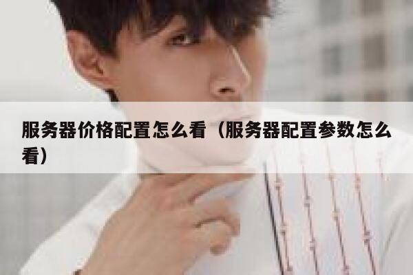 服务器价格配置怎么看（服务器配置参数怎么看） 第1张