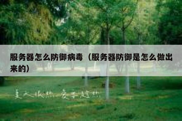 服务器怎么防御病毒（服务器防御是怎么做出来的） 第1张