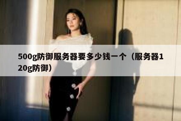 500g防御服务器要多少钱一个（服务器120g防御） 第1张