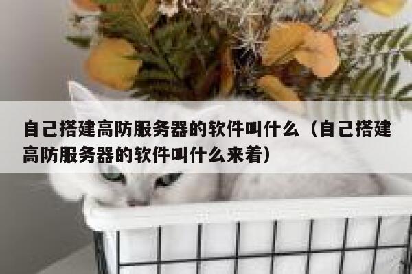 自己搭建高防服务器的软件叫什么（自己搭建高防服务器的软件叫什么来着） 第1张