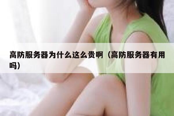 高防服务器为什么这么贵啊（高防服务器有用吗） 第1张