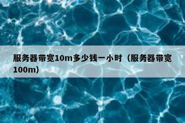服务器带宽10m多少钱一小时（服务器带宽100m） 第1张