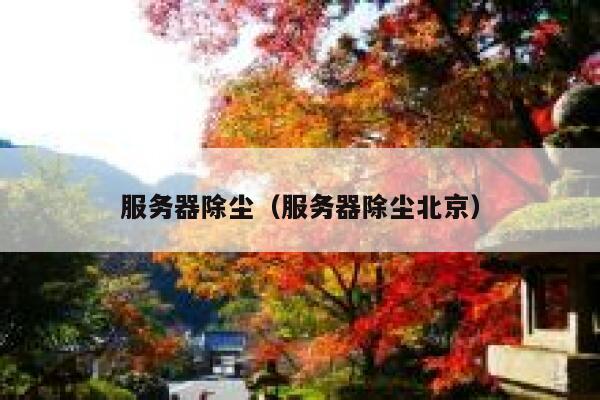 服务器除尘（服务器除尘北京） 第1张