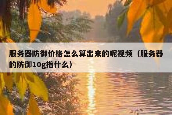 服务器防御价格怎么算出来的呢视频（服务器的防御10g指什么） 第1张