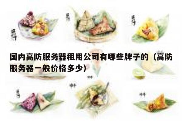 国内高防服务器租用公司有哪些牌子的（高防服务器一般价格多少） 第1张