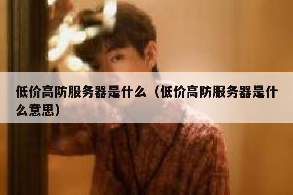 低价高防服务器是什么（低价高防服务器是什么意思） 第1张