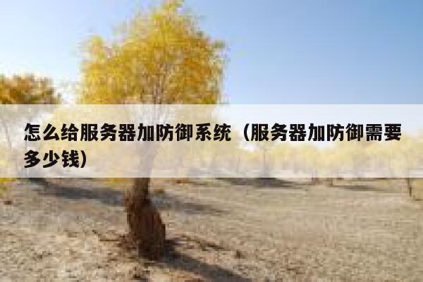 怎么给服务器加防御系统（服务器加防御需要多少钱） 第1张