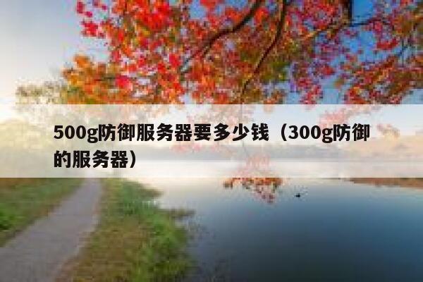 500g防御服务器要多少钱（300g防御的服务器） 第1张