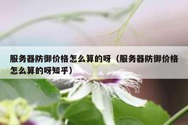 服务器防御价格怎么算的呀（服务器防御价格怎么算的呀知乎） 第1张