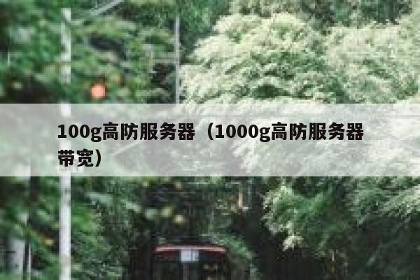 100g高防服务器（1000g高防服务器带宽） 第1张