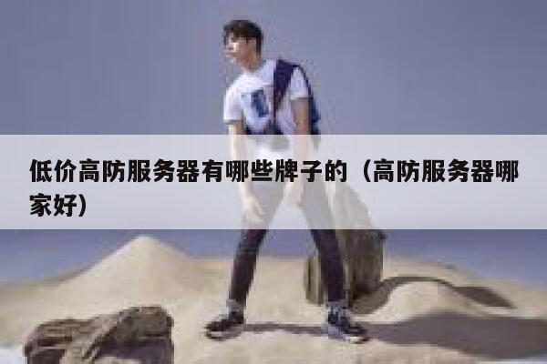 低价高防服务器有哪些牌子的（高防服务器哪家好） 第1张