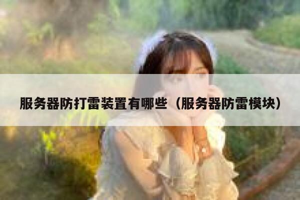 服务器防打雷装置有哪些（服务器防雷模块） 第1张