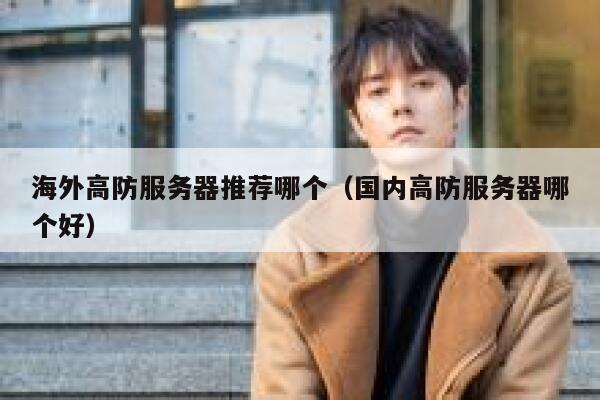 海外高防服务器推荐哪个（国内高防服务器哪个好） 第1张