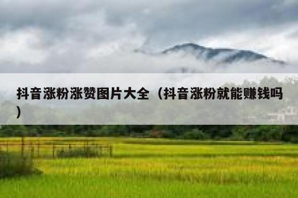 抖音涨粉涨赞图片大全（抖音涨粉就能赚钱吗） 第1张