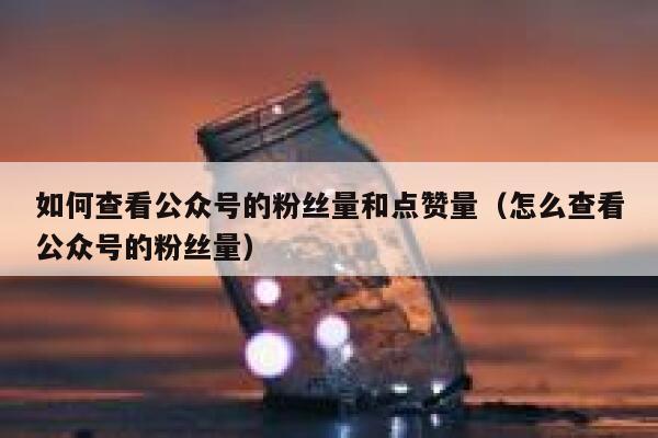 如何查看公众号的粉丝量和点赞量（怎么查看公众号的粉丝量） 第1张