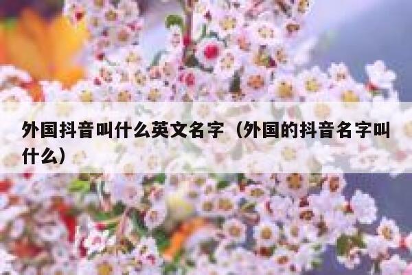 外国抖音叫什么英文名字（外国的抖音名字叫什么） 第1张