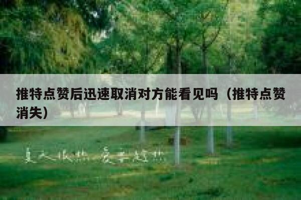 推特点赞后迅速取消对方能看见吗（推特点赞消失） 第1张