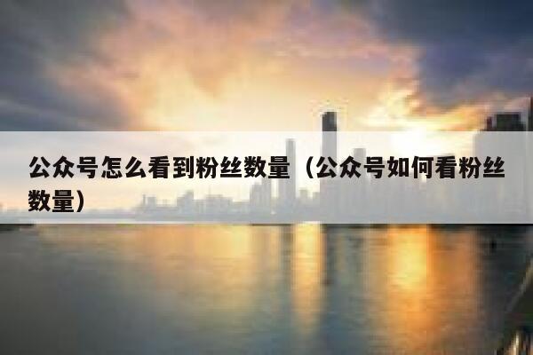公众号怎么看到粉丝数量（公众号如何看粉丝数量） 第1张