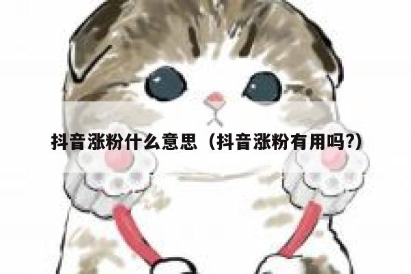 抖音涨粉什么意思（抖音涨粉有用吗?） 第1张