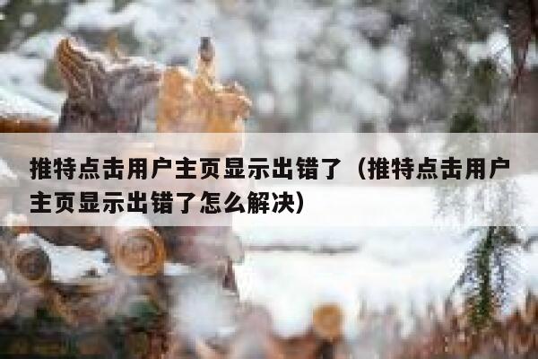推特点击用户主页显示出错了（推特点击用户主页显示出错了怎么解决） 第1张