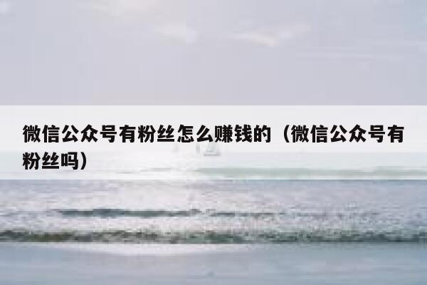 微信公众号有粉丝怎么赚钱的（微信公众号有粉丝吗） 第1张