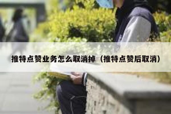推特点赞业务怎么取消掉（推特点赞后取消） 第1张