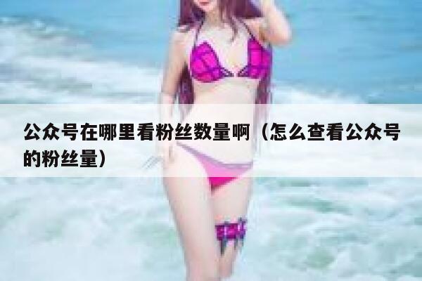 公众号在哪里看粉丝数量啊（怎么查看公众号的粉丝量） 第1张