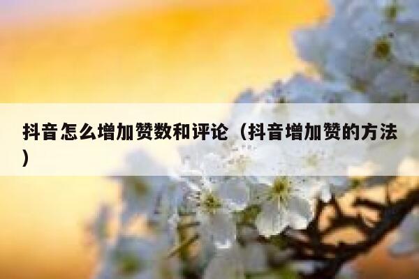 抖音怎么增加赞数和评论（抖音增加赞的方法） 第1张