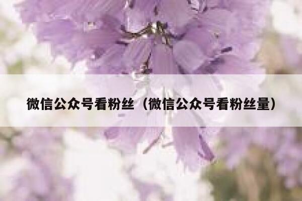 微信公众号看粉丝(微信公众号看粉丝量) 第1张 微信公众号看粉丝(微信公众号看粉丝量) 第1张