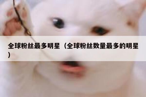 全球粉丝最多明星（全球粉丝数量最多的明星） 第1张