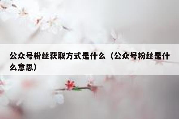 公众号粉丝获取方式是什么（公众号粉丝是什么意思） 第1张