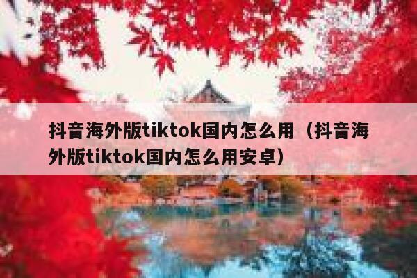 抖音海外版tiktok国内怎么用（抖音海外版tiktok国内怎么用安卓） 第1张