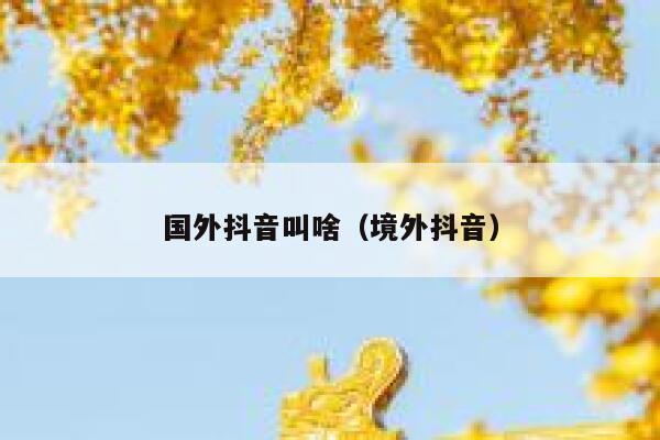 国外抖音叫啥（境外抖音） 第1张