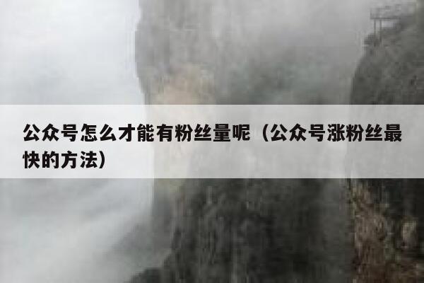 公众号怎么才能有粉丝量呢（公众号涨粉丝最快的方法） 第1张